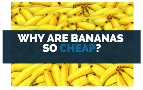 why are bananas so cheap reddit